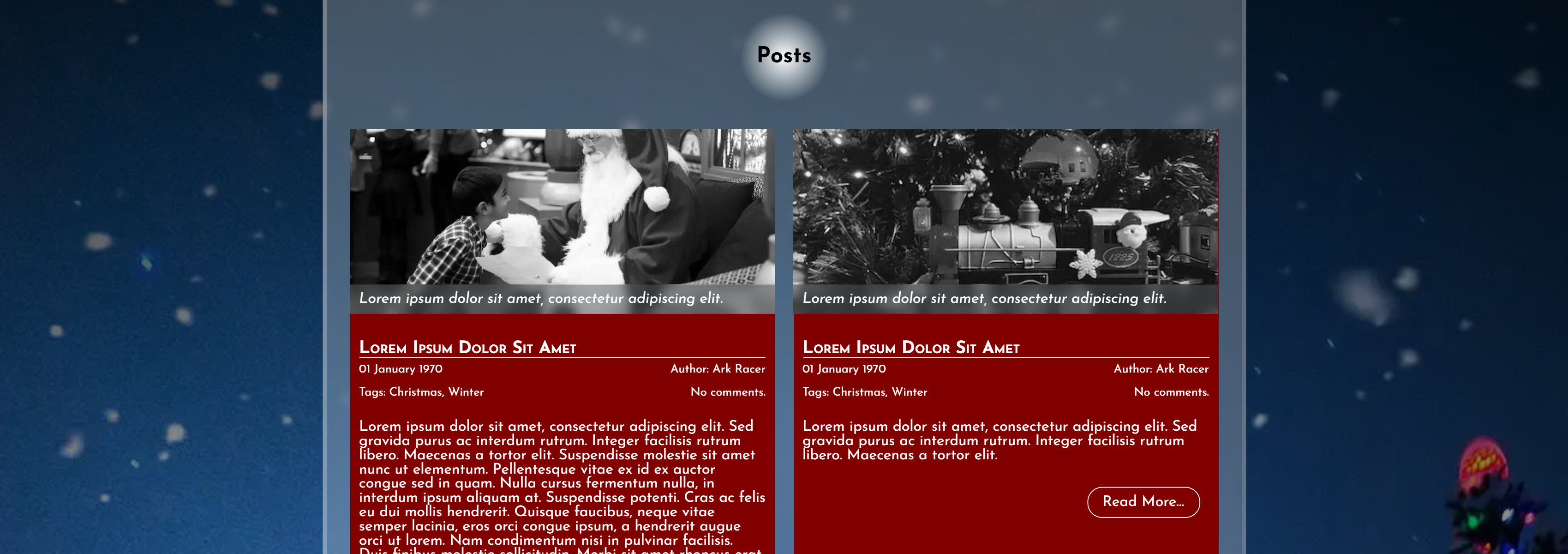 A screenshot of the example 'Posts' section of this project.