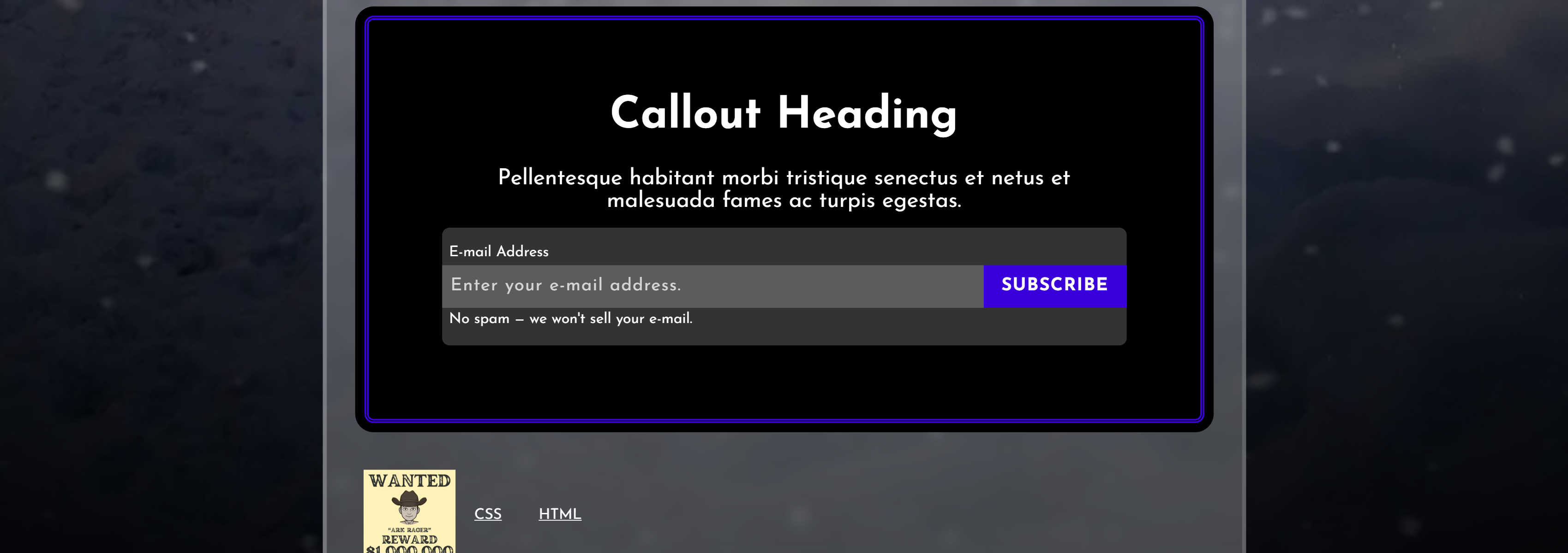 A screenshot of the example subscription form of this project.